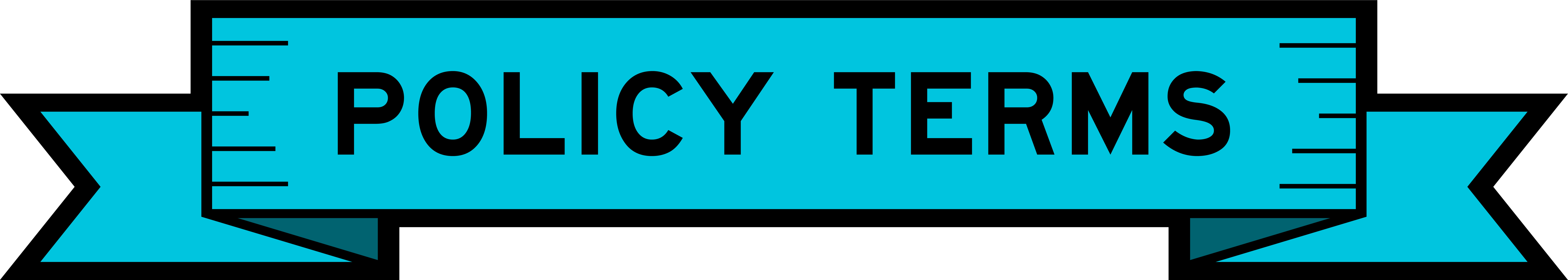 Policy Terms.jpeg