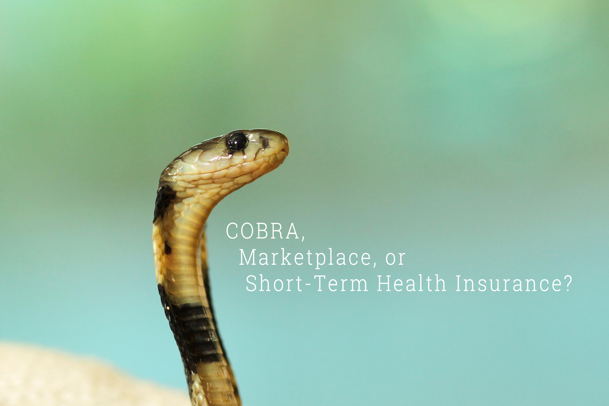 can you have cobra and other insurance