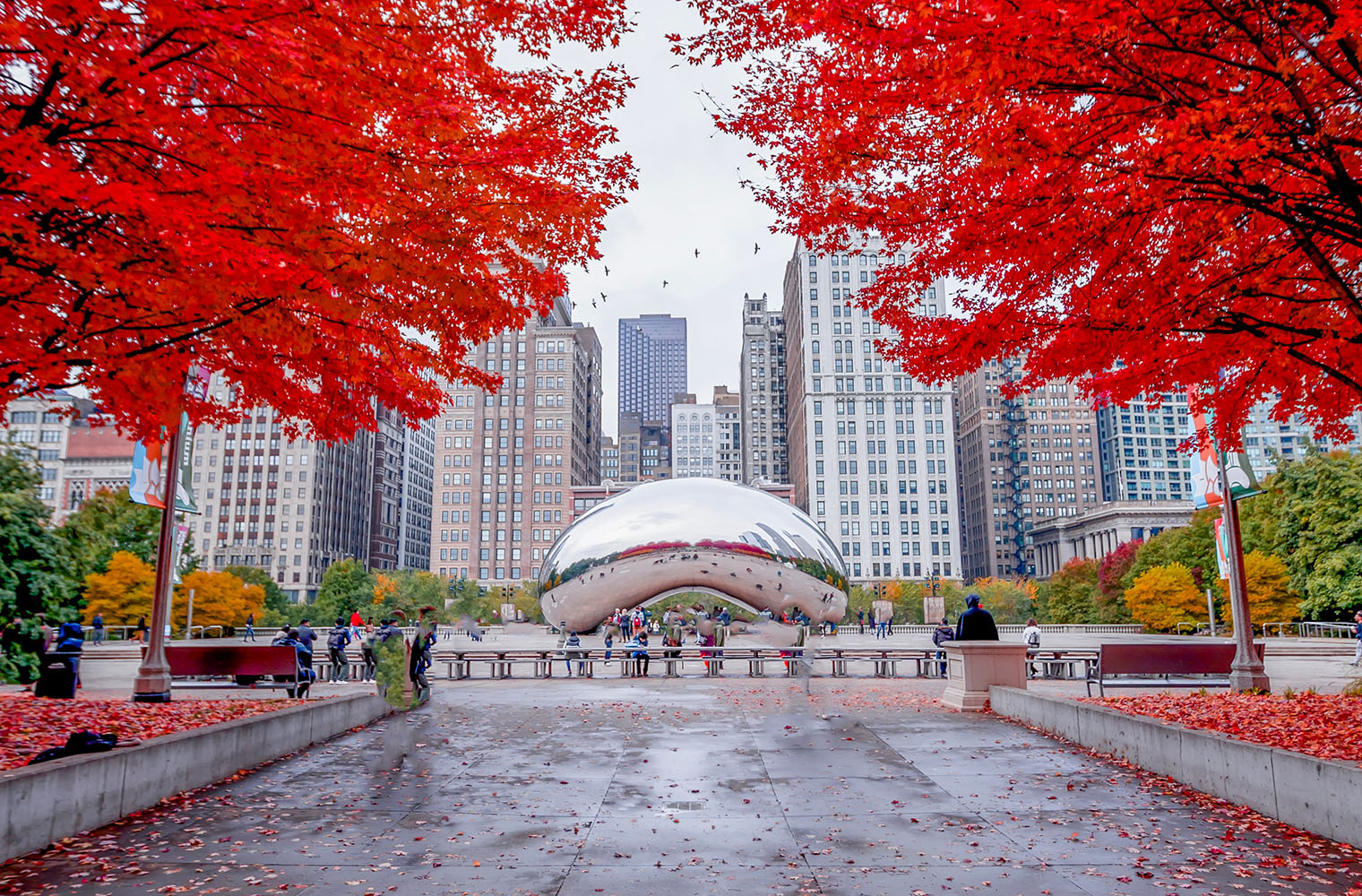 chicago-cloud-gate-maple-leaves-1823729.jpg