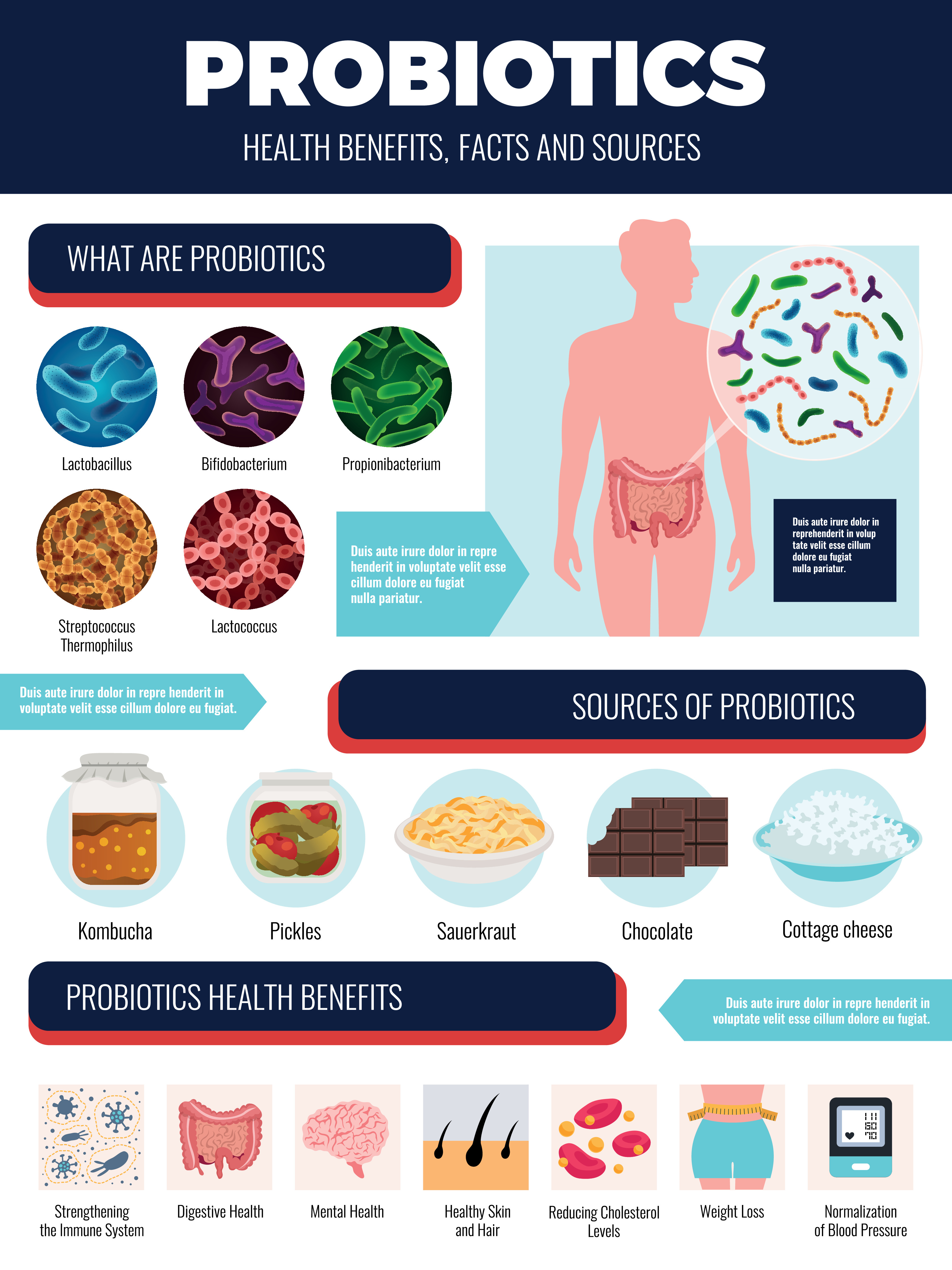 8-health-benefits-of-probiotics-independent-health-agents